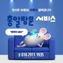 새미래트윈스 이미지