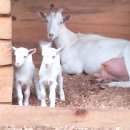 대굴령마을 이미지