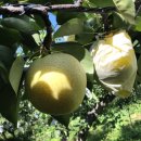 은정농원 이미지