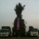 목화공원주차장 이미지