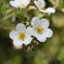 봉양농장 이미지