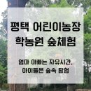 부모는 쉬고 아이는 뛰어노는 곳, 어린이농장 학농원 숲체험 후기