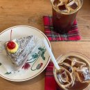 갑천역 | [대전/갑천역] 내돈내먹 ‘투티커피바’ 로스팅카페 솔직후기