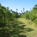 만승농장 이미지