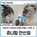 메가후르츠안산리드스마트점 | 안산동물카페 쥬니멀 안산점 고양이 파충류 앵무새 체험가능한 동물카페