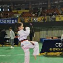 행복 숲 태권도장 이미지