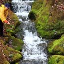 강원남부로 이미지