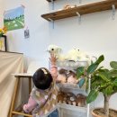 김천목장 이미지