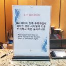더 리센츠 이미지