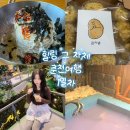 해진축산 | 춘천 커플&amp;가족 여행 (1) ㅣ 막국수 맛집, 감자밭, 분위기 좋은 카페, 가성비 프라이빗 자쿠지 글램핑...