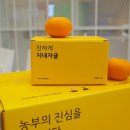 디자인파머