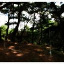 아람나무유치원 이미지