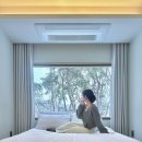 오낮오밤 이미지