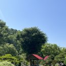 영주어머니 | 영주 카페 : 초록빛 힐링 공간, 사느레정원 🌿 식물원 카페, 인생샷 성지 추천!