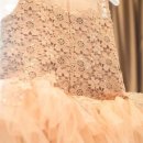 해오름 빛 이미지