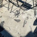 빅테이블커피 이미지