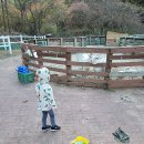 숲속 동키마을 캠핑장 이미지