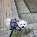 백양고등학교 이미지