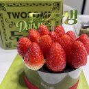 박초코 | 투썸플레이스 두초생&amp;두아박 내돈내산 솔직후기🍰