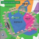 ◈ 대공원 청계 호숫가 전망 좋은 둘레길~ 장미원 장미축제 이미지