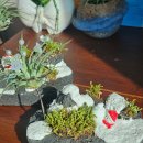 증평삼보사회복지관 | 배움에서 실천으로 이어진 하루 – 충북 스토리텔러 교육과 증평 노인복지관 겨울 미술수업🎅