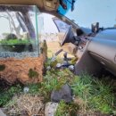 조희룡미술관 이미지