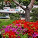 태영헬스클럽 이미지