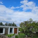 애월오사이 이미지