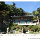 독립농장 이미지