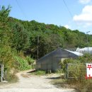 평풍농장 이미지