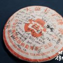 7542 Daum카페