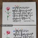 캘리그래피 | 은사님 감사 선물 :: 엽서 캘리그래피 제작 후기
