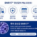 속편한건강식품
