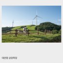 삼양여행사 이미지