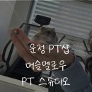 멜로우월드 | 운정역 피티 / 머슬멜로우에서1대1 pt수업과 자세교정 받은 후기 (햄찌 힐링까지)