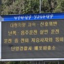 단양경찰서 매포파출소 | 단양경찰서, 매포권역 교통사고 예방 총력 | 2026년 5월 7일 핵심 정리