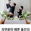 알로하플라워 | 전주·여수 돌잔치·돌스냅 최신 소식 모음 — 루아트스냅·알로하돌상·고궁담까지