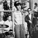 Blue dog club 이미지