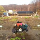 서림동-22 이미지