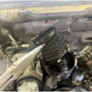 베스트카공업사 이미지