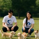 동물보육원 용인지부 이미지