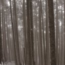 설산농장 이미지