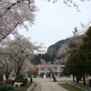 아산초등학교 이미지