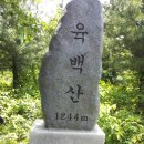 육백산 (1244) 삼척 - 2 이미지