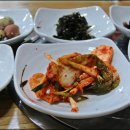 바다속돼지