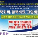 거창군청 티스토리