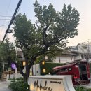 랑데뷰 | [치앙마이 숙소]말라디 랑데뷰 호텔 , 말라디 스위트 후기 (+ 수영장, 헬스장, 짐 맡기기)