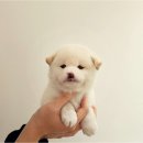루이몽 이미지