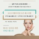 선에스테스파 이미지