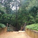 동작충효길 2코스 현충원길 이미지